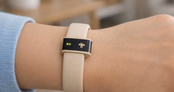 Amazon Bee Wearable Tech: A Curious Peek at 2026